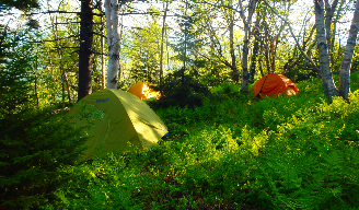 An example of campsites with tents where Joshua Trek campers would stay.